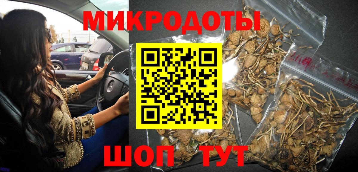 Псилоцибиновые грибы Psilocybe Шарыпово