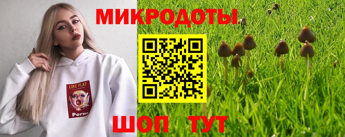 Галлюциногенные грибы MAGIC MUSHROOMS  Вход с VPN  Шарыпово 